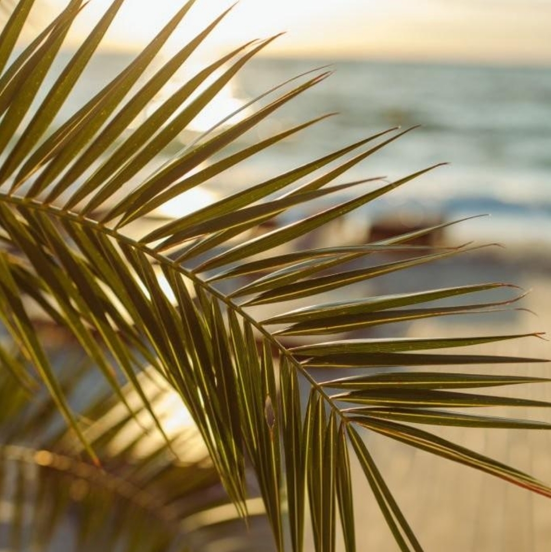 L'été pour célébrer l'automne et l'hiver