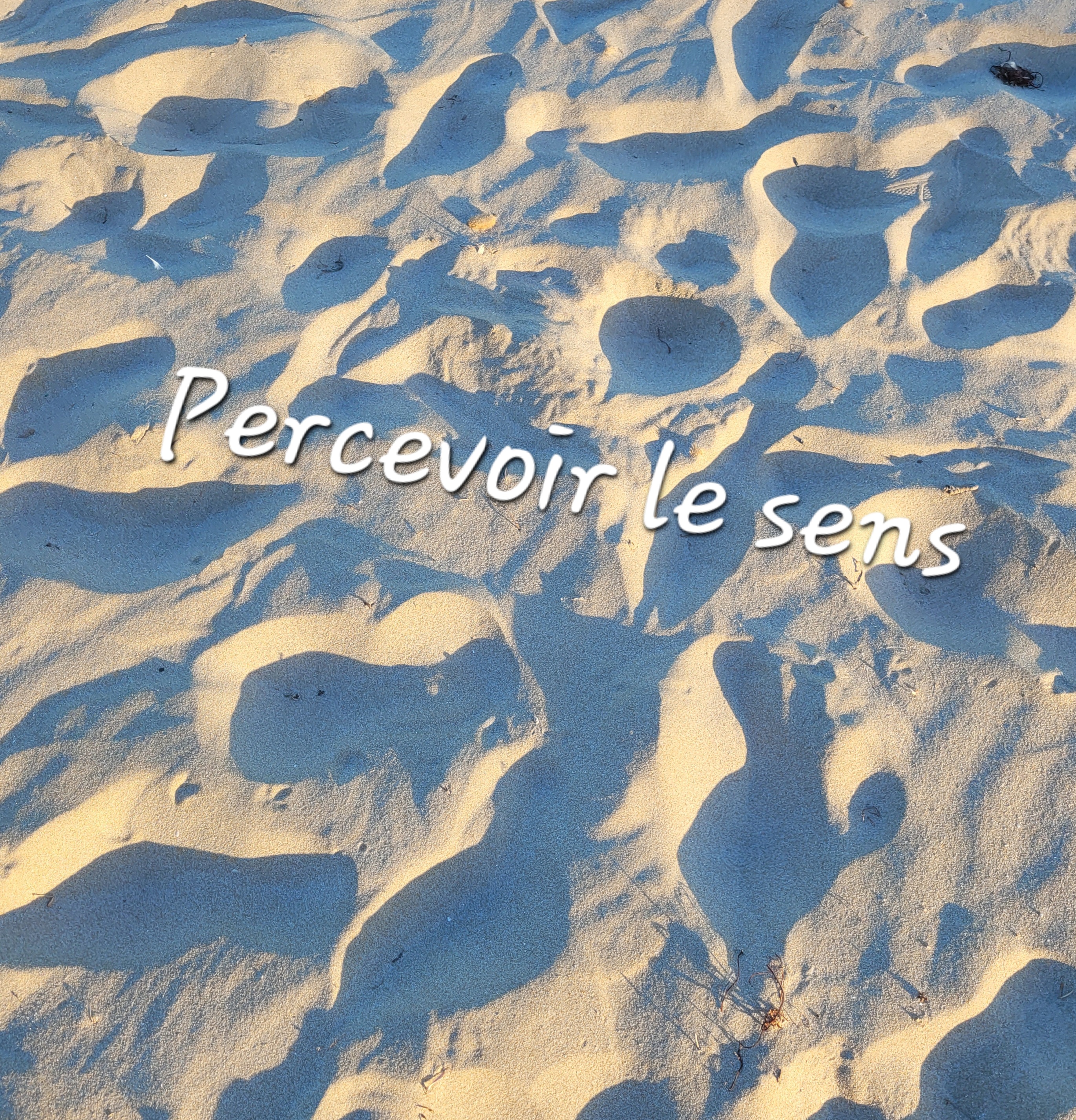 Percevoir le Sens