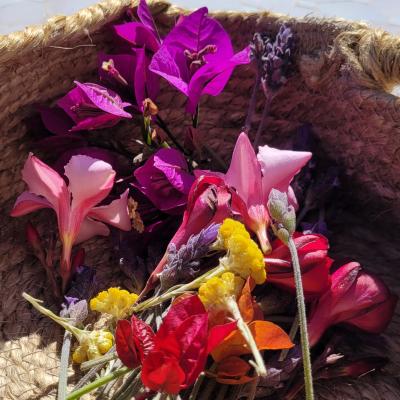 Panier de couleurs